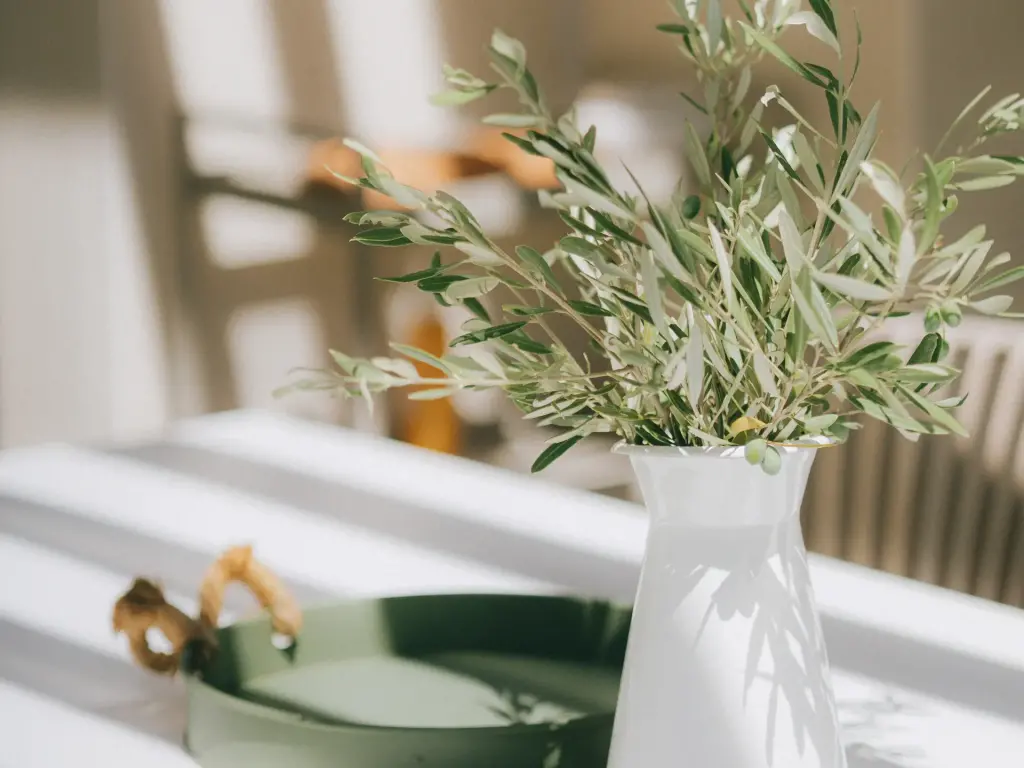 Branches d’olivier dans un vase blanc, sur une table blanche traversée par la lumière rasante d’une fenêtre, un plateau vert olive à côté